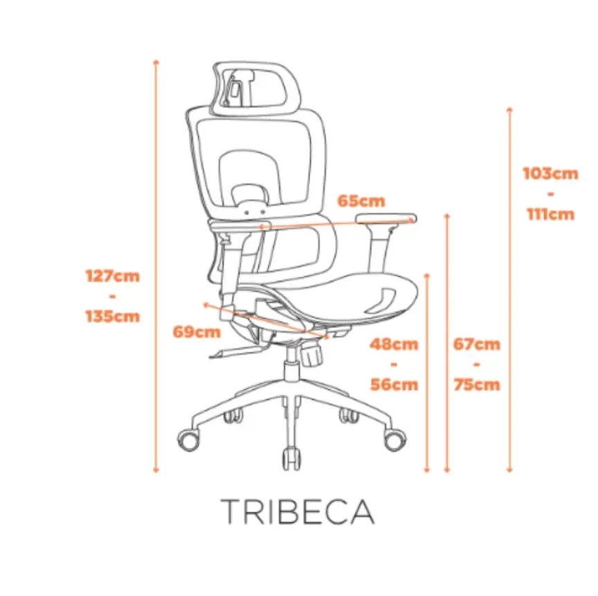 Cadeira Presidente Tribeca Ergonômica NR17 com Slide de Assento, Braços 3D e Apoio de Cabeça – Preto – Fratini