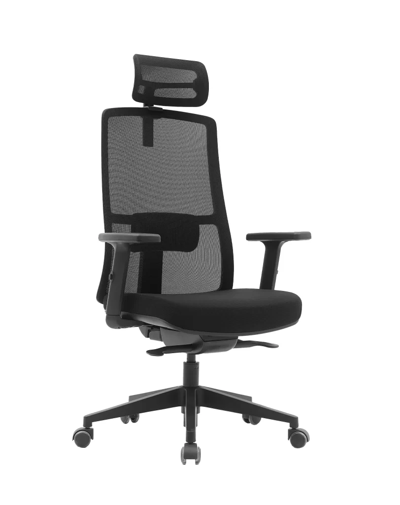 Cadeira Presidente Soho Ergonômica NR17 com Slide, Apoio de Cabeça e Braços Reguláveis – Fratini